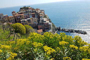 Authentic Cinque Terre Tour