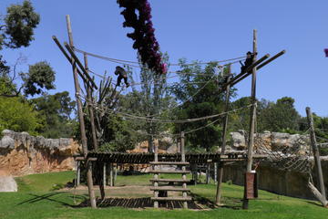 Lisbon - Oceanarium and Zoo