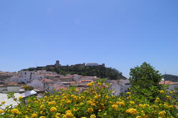 Palmela and Arrábida with Wine Tasting Private Tour from Lisbon