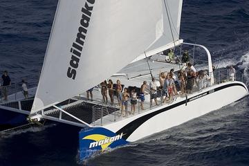 Luxury Catamaran Cruise from Oahu