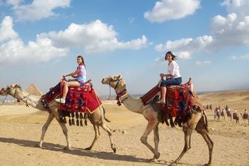 Layover Tour from Cairo Airport to visit the Pyramids Private