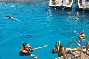 Tiran Island Snorkeling Day Trip from Sharm el Sheikh