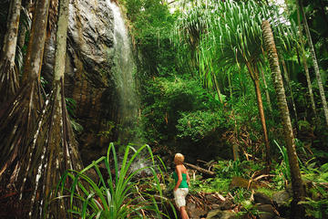 Full Day Vallee de Mai and Anse Lazio from Praslin