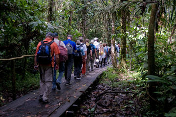 Walk and Trail with Private Guide on Mahe Island 4 hours
