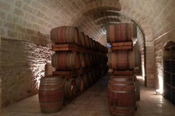 Full-day Salento Wine and Food Tour