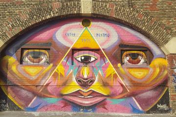 Private Street Art Walking Tour in Vienna