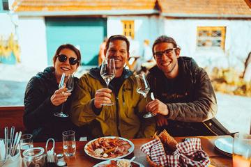 Small-Group Wachau Bike Tour with Wine-Tasting from Vienna