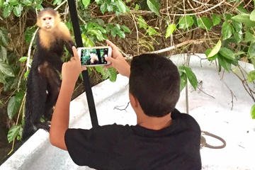 Monkey Island and the Panama Canal Private boat tour