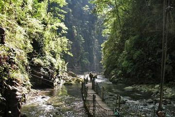 1 Day Private Tour of Most Beautiful Heishan Valley in Chongqing Including Lunch