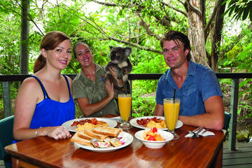 Breakfast with the Koalas at Hartley's Crocodile Adventures from Cairns or Palm Cove