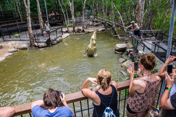 Cairns Shore Excursion: Hartley's Crocodile Adventure Day Trip
