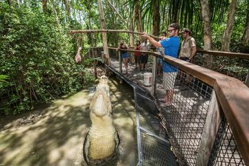 Hartley's Big Crocodile Feeding Experience from Cairns or Palm Cove