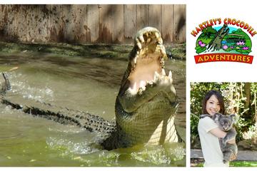 Hartley's Crocodile Adventures Wildlife Encounter Day Trip from Cairns