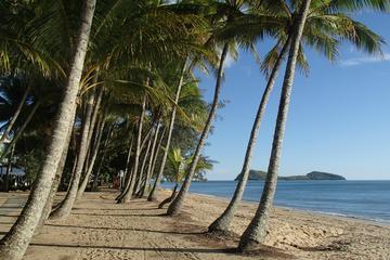 Palm Cove Day Trip from Cairns