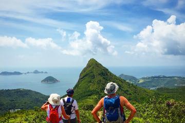 4-Hour Group Hiking Tour: High Junk Peak And Clear Water Bay Discovery in Hong Kong