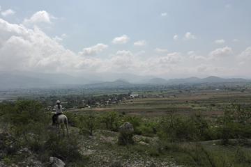 Exotic Flora Full Day Ride