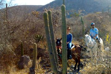Oaxaca Discovery Overnight Horseback Riding Adventure