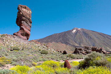 El Teide National Park Half-Day Tour