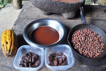 The chocolate forest experience