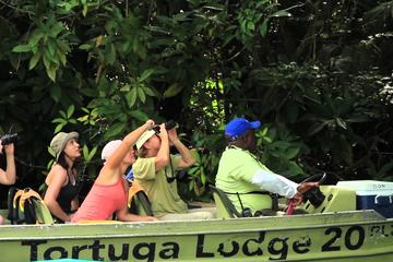 Tortuguero Canals Tour