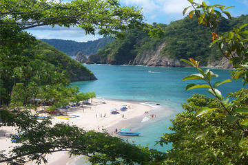 Turtle island