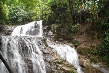 Veragua full plus Tortuguero Canals tour