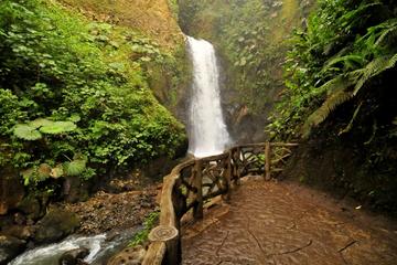Waterfall Gardens plus Dota coffe tour