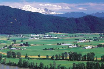 Private Tour: Vancouver Half Day Wine Tasting Tour