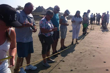 Acapulco City Tour and Turtle Release