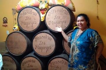 Mezcal Distillery Day Trip from Acapulco including Tasting and Lunch