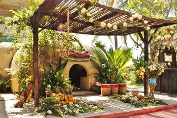 Mystical Tour from Acapulco: Coyuca Lagoon and Temazcal Experience