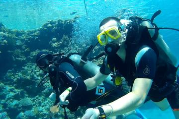 Full-Day Intro Diving and Snorkeling at Tiran Island