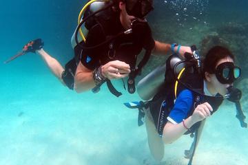 Half-Day PADI Discover Scuba Diving from Koh Phi Phi