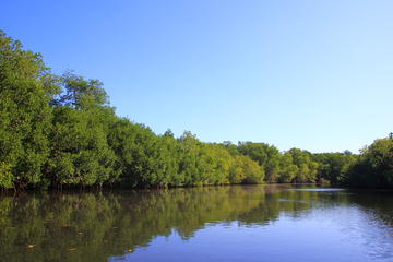 Motorboat tour around Juan Venado Island