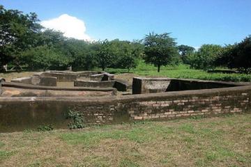 Private Walking Tour of Leon Viejo Ruins