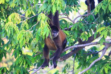 Small-Group El Chocoyero El Brujo Nature Reserve Tour from Managua