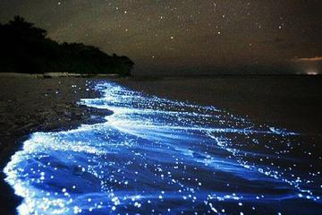 7 Islands Sunset Tour with  Bioluminescent Plankton from Krabi