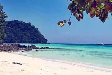 Krabi Kho Rok and  Kho Haa Island