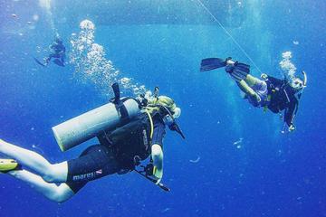 Scuba Diving in Koh Tao