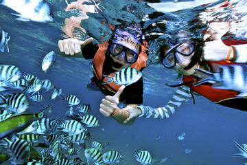 Snorkeling in Koh Tao and Nang Yuan Island by Speed boat