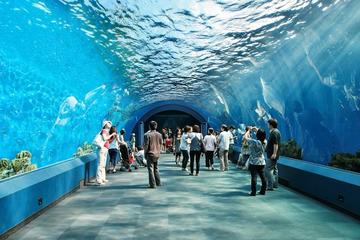 Underwater World Pattaya General Admission with Hotel Transfers
