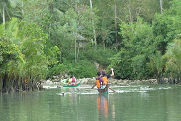 Private Aloguinsan Day Tour with Bojo River Cruise from Cebu
