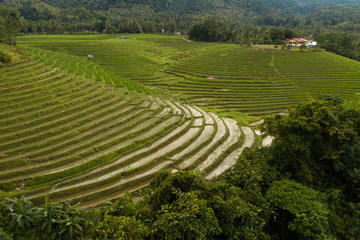 Wonders of Anda Bohol
