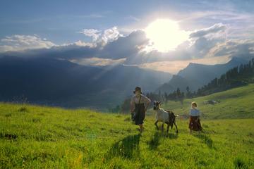 Interlaken to Zell am See Day Trip with Heidi Village
