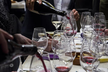 Private Barcelona Spanish Wine Tasting Tour with Lunch