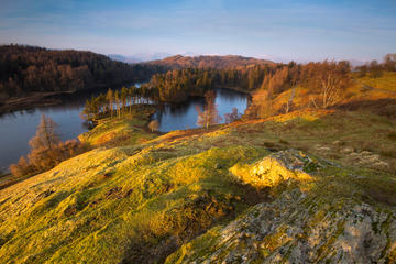 Half-Day Windermere and Lake District winter tour