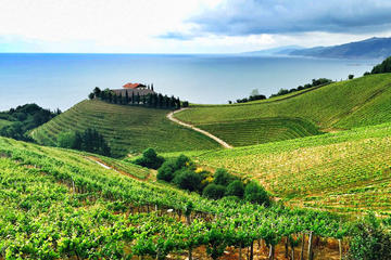 Cantabrian Coast Wine Tour from San Sebastian
