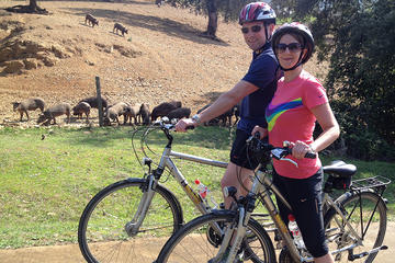 Countryside Bike Tour in Seville