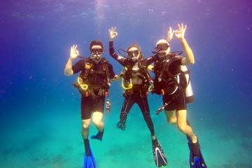 Discover Scuba Diving in St Thomas