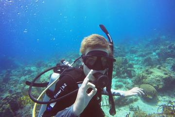 PADI Open Water Certification